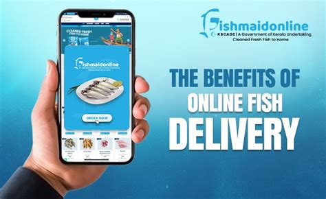 online fish delivery hyderabad|fish shop online.